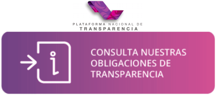 consulta obligaciones de transparencia